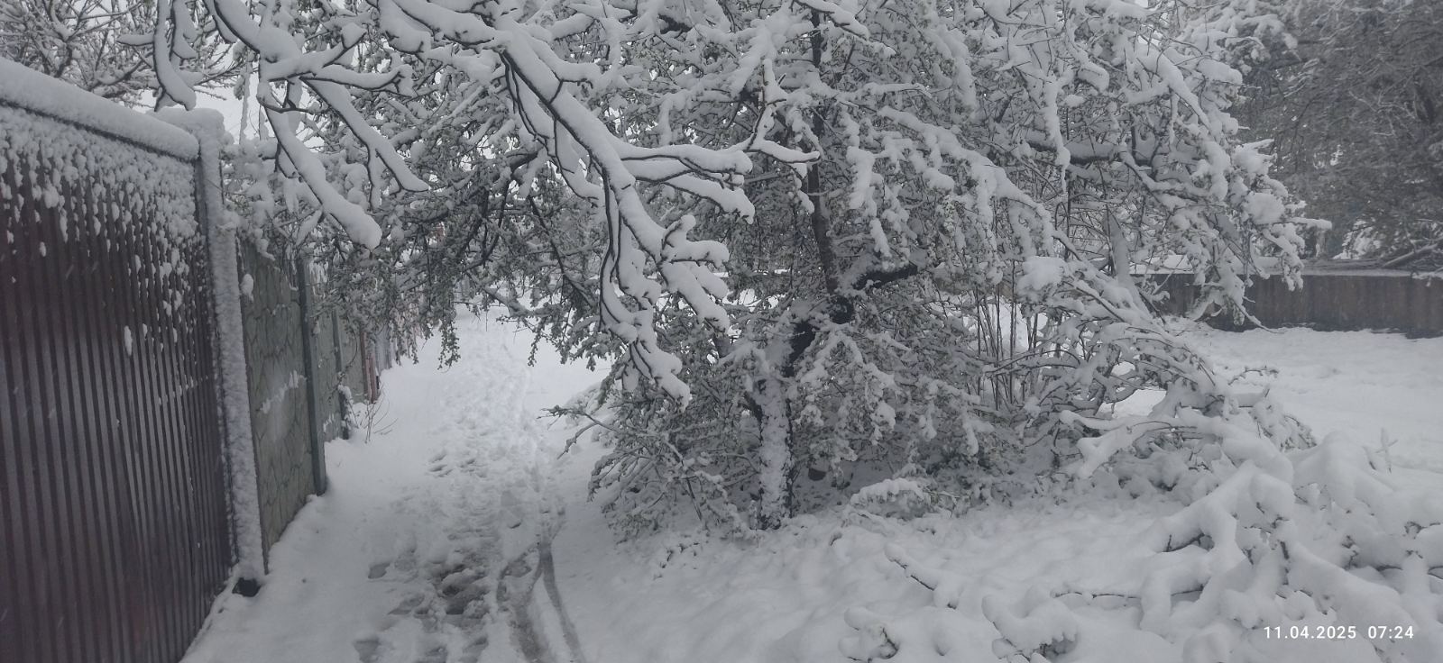 Україну присипало снігом у квітні, водії скаржаться на ожеледицю: фото і відео погодного "апокаліпсису"