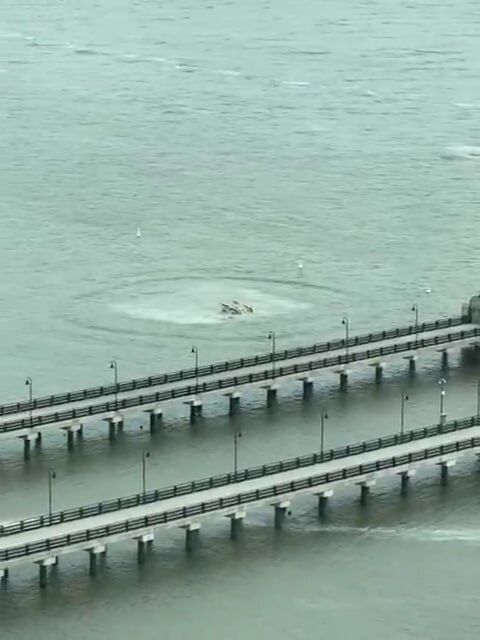 В Нью-Йорке вертолет упал в Гудзон: среди жертв – топ-менеджер Siemens, его жена и трое детей. Фото и видео