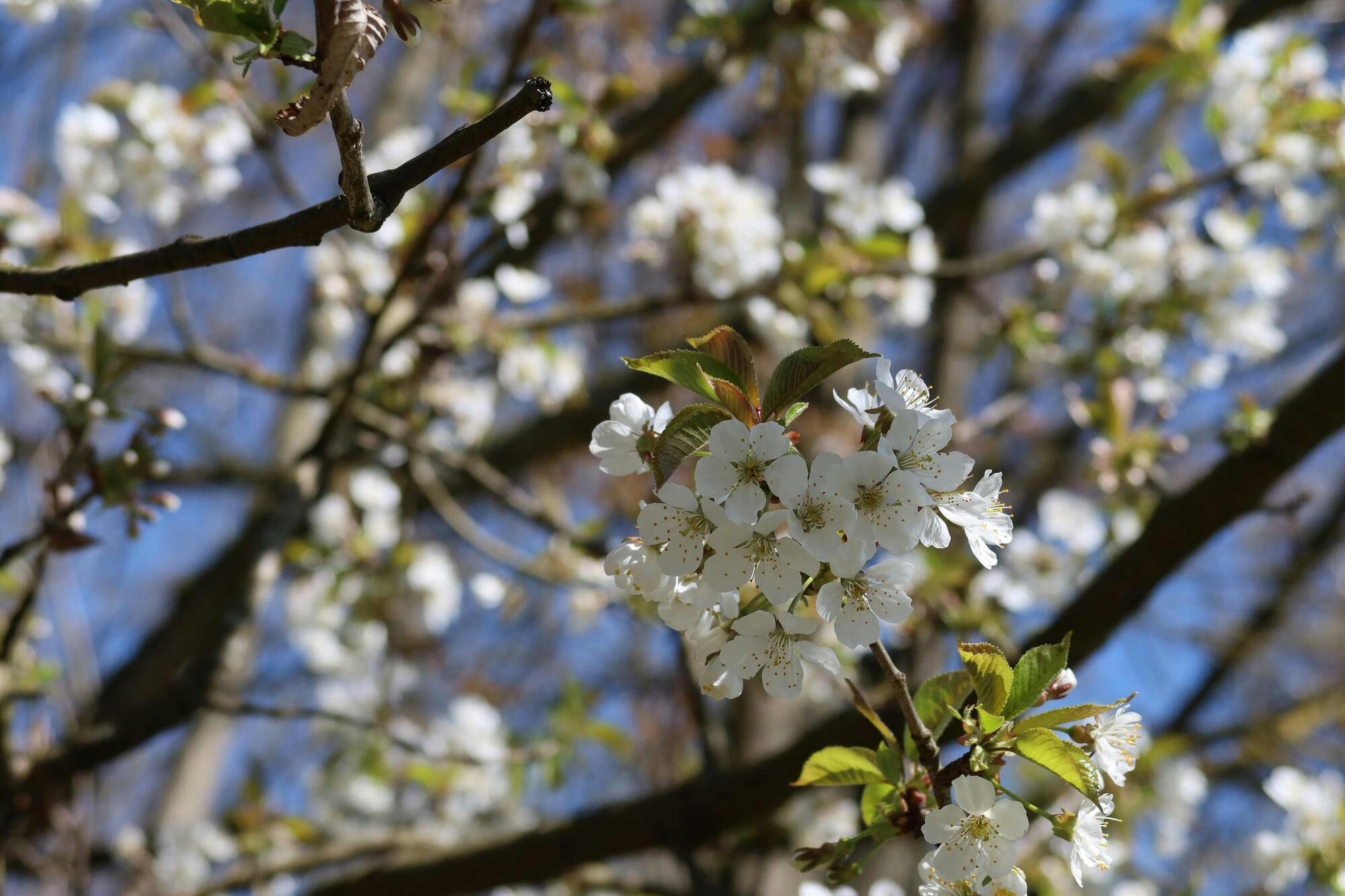 Погода весной