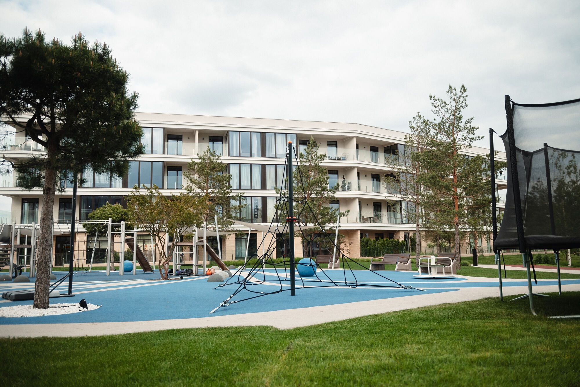 DIM запустила спецпрограмму поддержки для приближающих победу: кто может стать участником