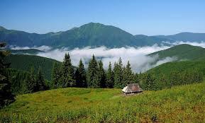 Карпати