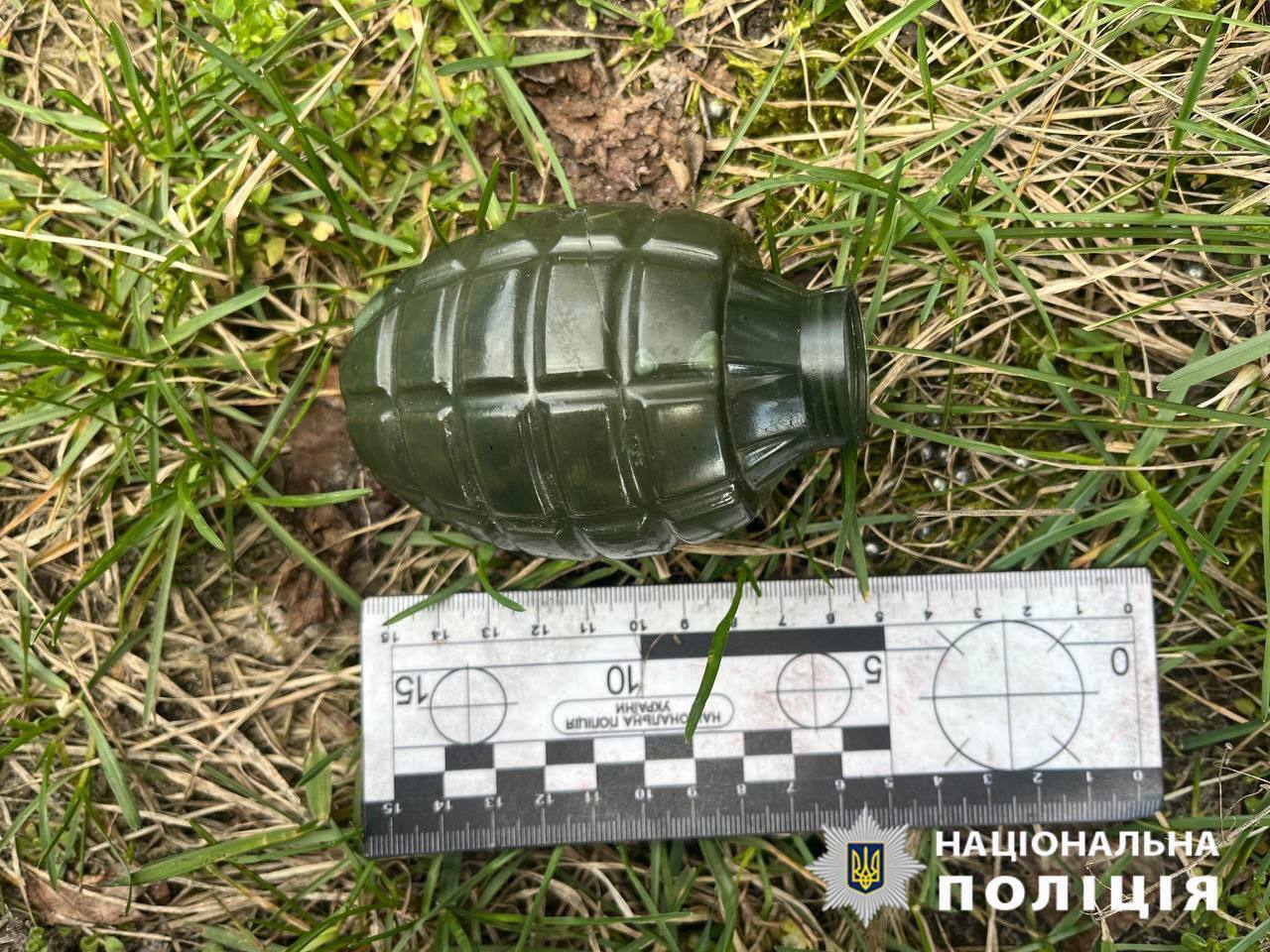 Угрожал соседу ножом и гранатой: в Киеве полицейские задержали пьяного хулигана. Фото и подробности