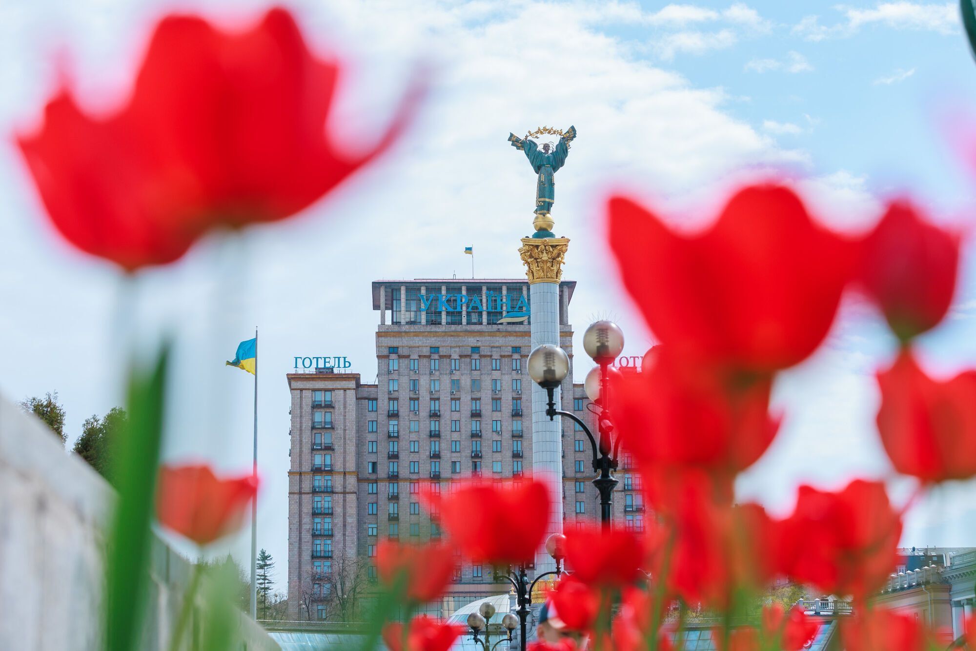 В Киеве расцвели первые тюльпаны: где посмотреть. Фото
