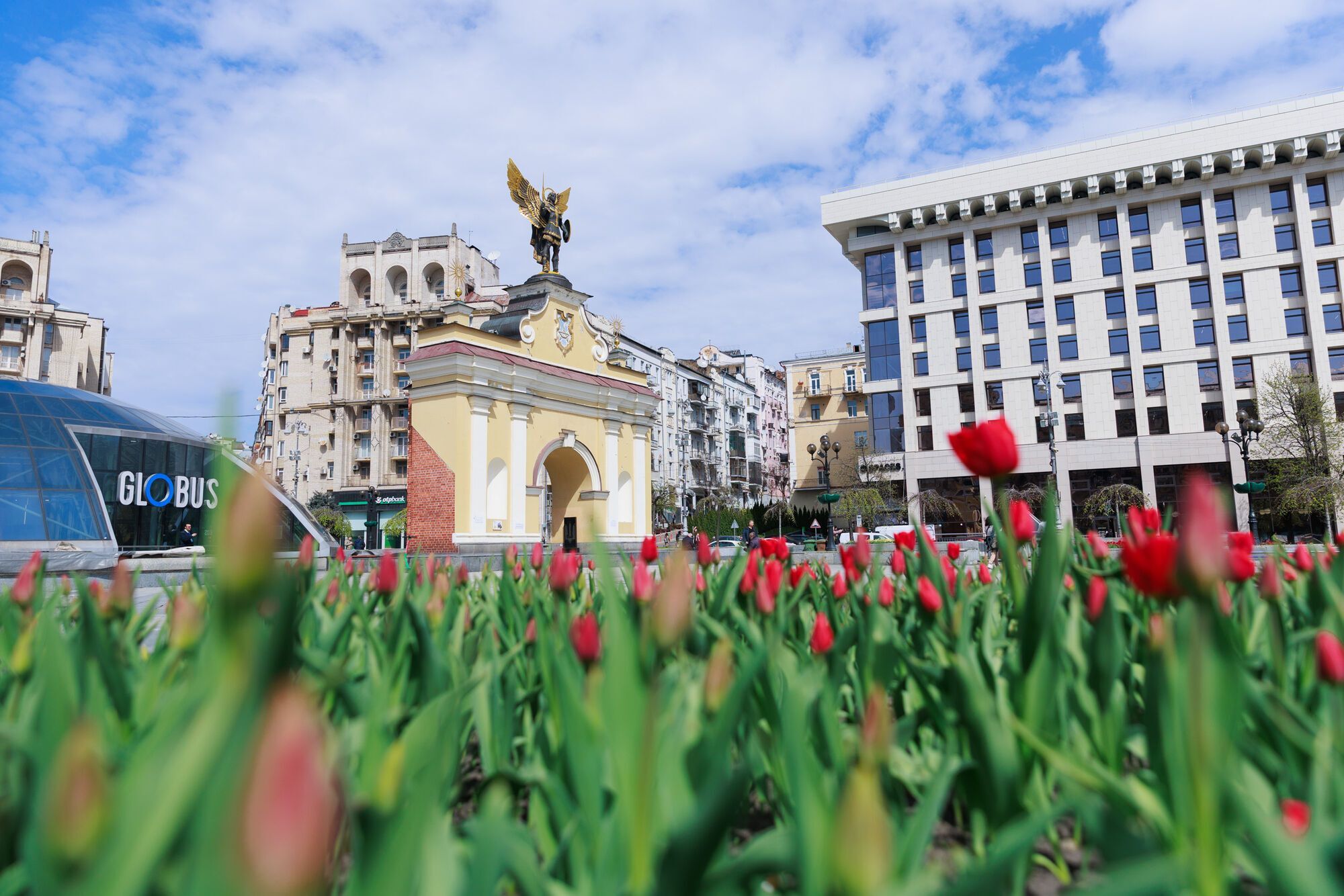 В Киеве расцвели первые тюльпаны: где посмотреть. Фото