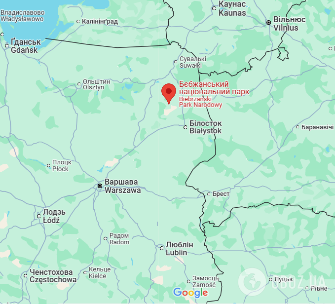 В Польше вторые сутки продолжается пожар в национальном парке: площадь увеличилась до 450 га. Фото