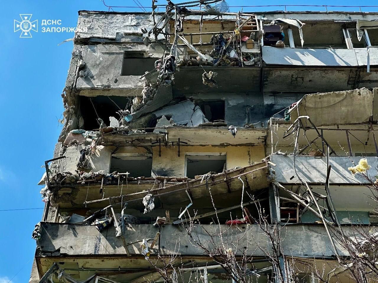 У Запоріжжі поранений пес не відходив від тіла загиблої власниці: нові подробиці російської атаки 