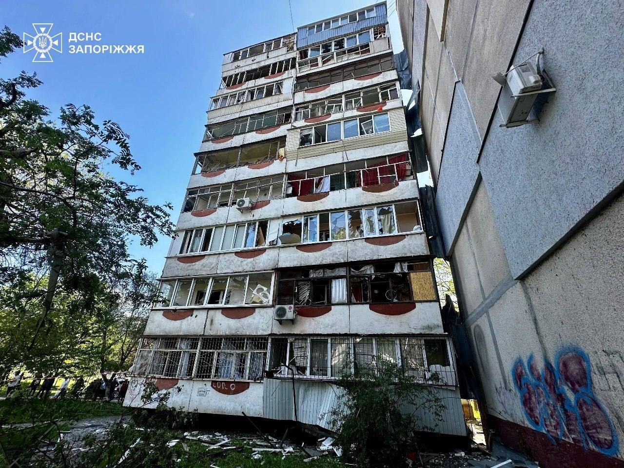 У Запоріжжі поранений пес не відходив від тіла загиблої власниці: нові подробиці російської атаки 