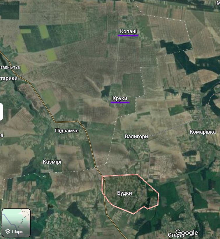 Подолала майже 10 км: на Тернопільщині врятували трирічну дівчинку, яка загубилася в лісі. Фото 