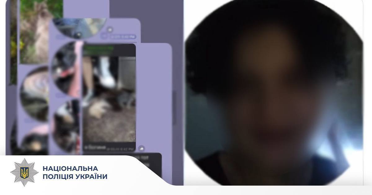 Предлагал подписчикам выбрать вид насилия: в Киеве 14-летний подросток издевался над котёнком. Фото