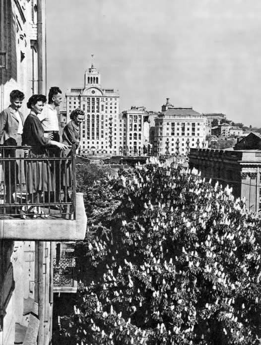 В сети показали, как в 1950-60-х годах выглядела одна из известных улиц центра Киева. Ретро-фото