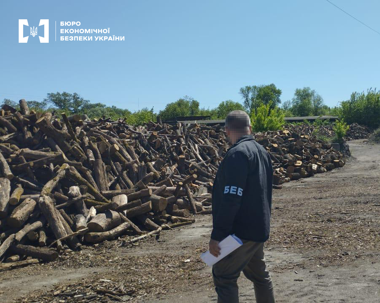 У ЗСУ викрили схему з закупівлею дров на 90 млн грн: держслужбовцям оголошено підозри