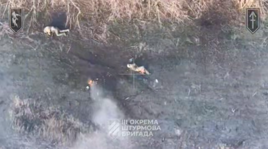 "FPV перетворюють укриття окупантів на могили": у Третій штурмовій показали влучну роботу. Відео 