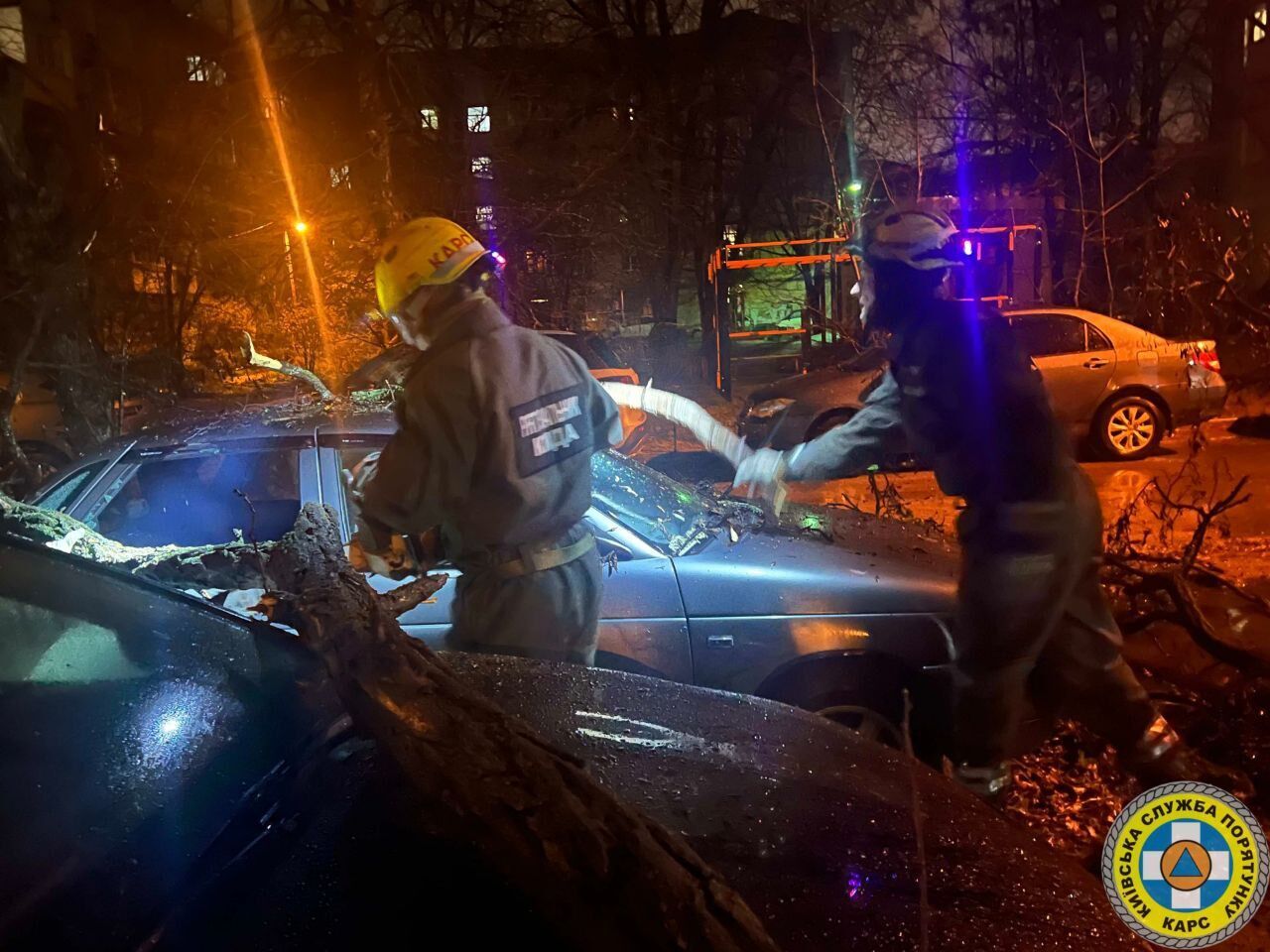 В Киеве во дворе дома сухое дерево упало прямо на припаркованные машины. Фото и подробности