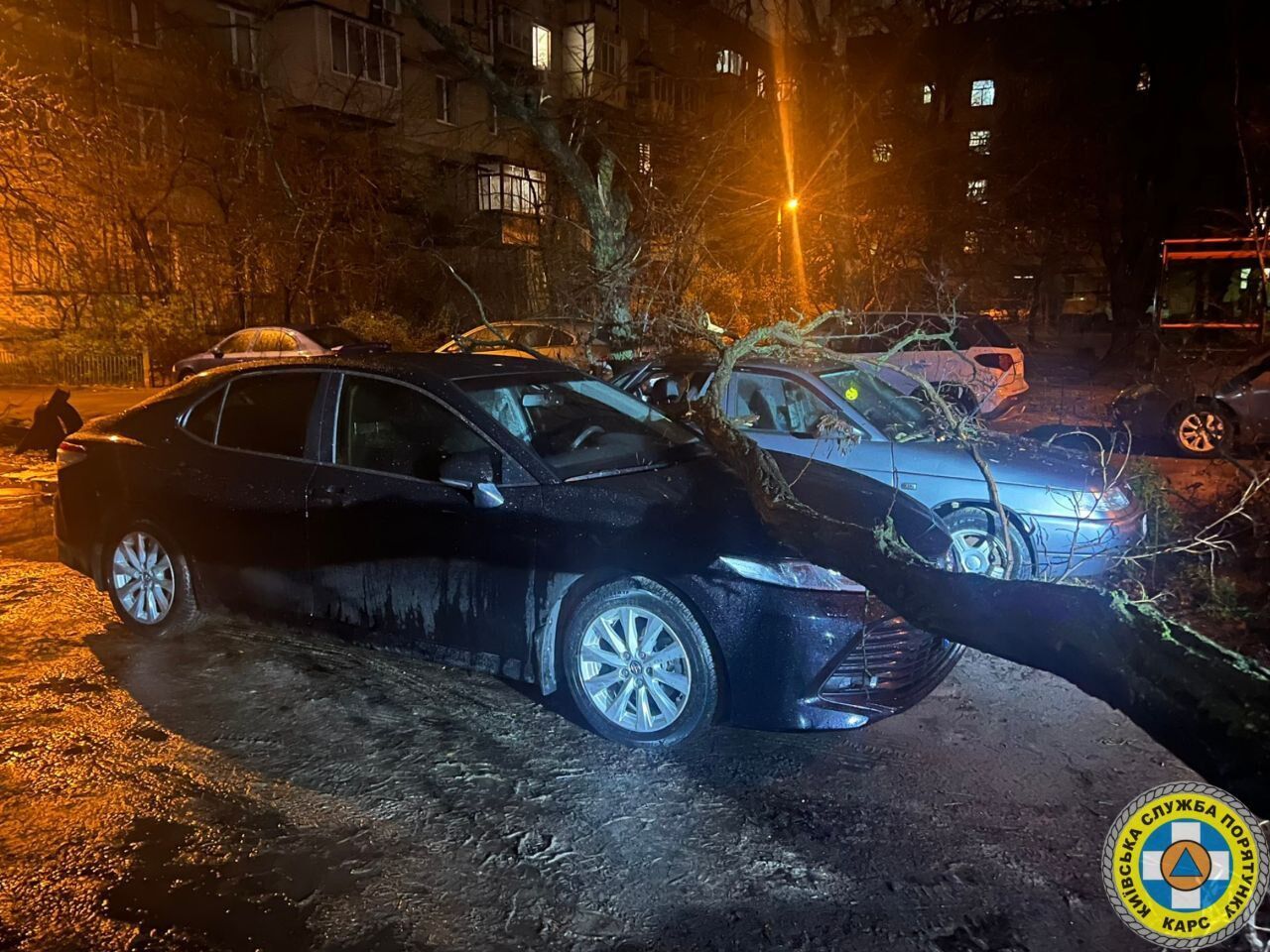 В Киеве во дворе дома сухое дерево упало прямо на припаркованные машины. Фото и подробности