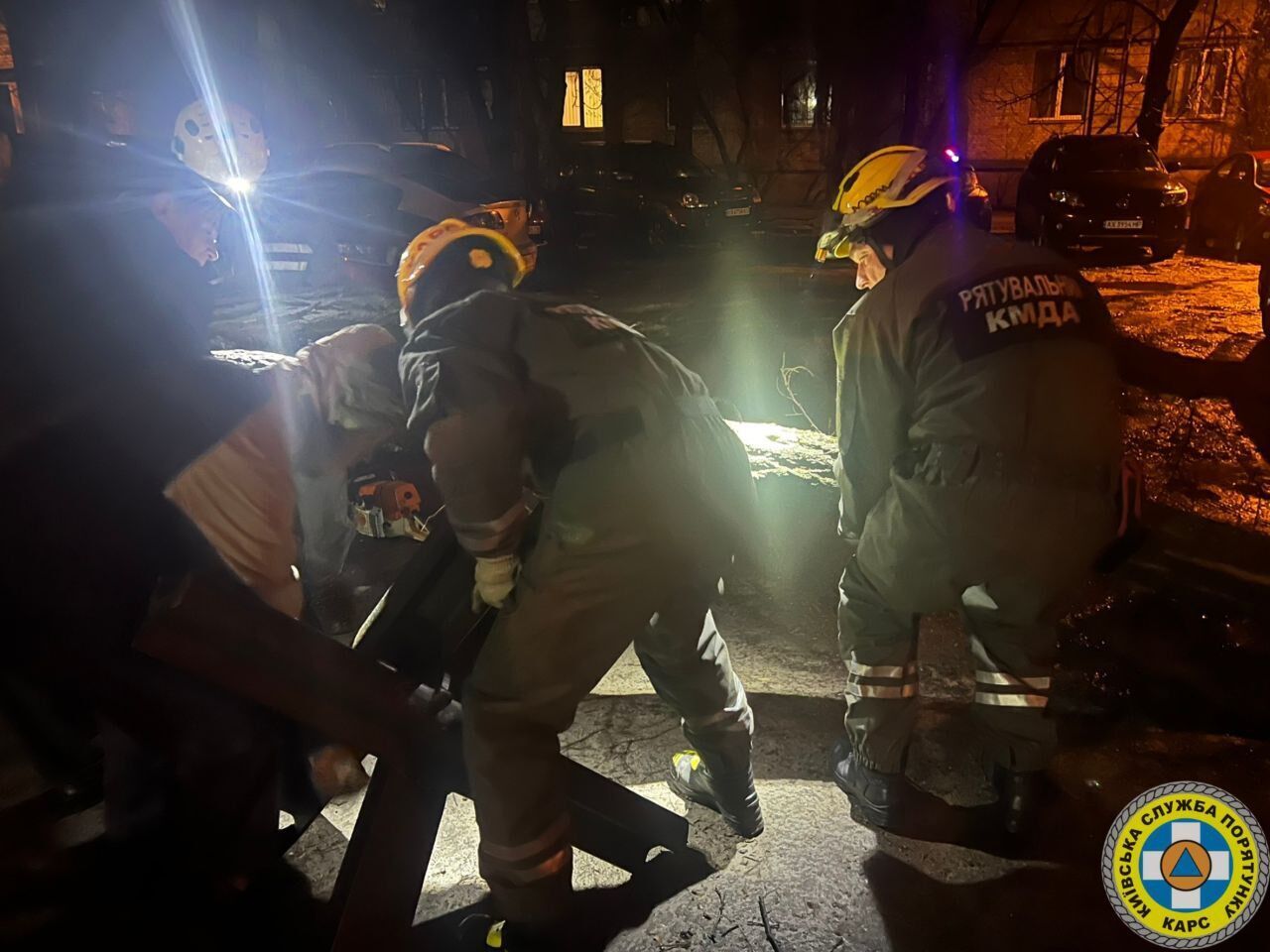 В Киеве во дворе дома сухое дерево упало прямо на припаркованные машины. Фото и подробности