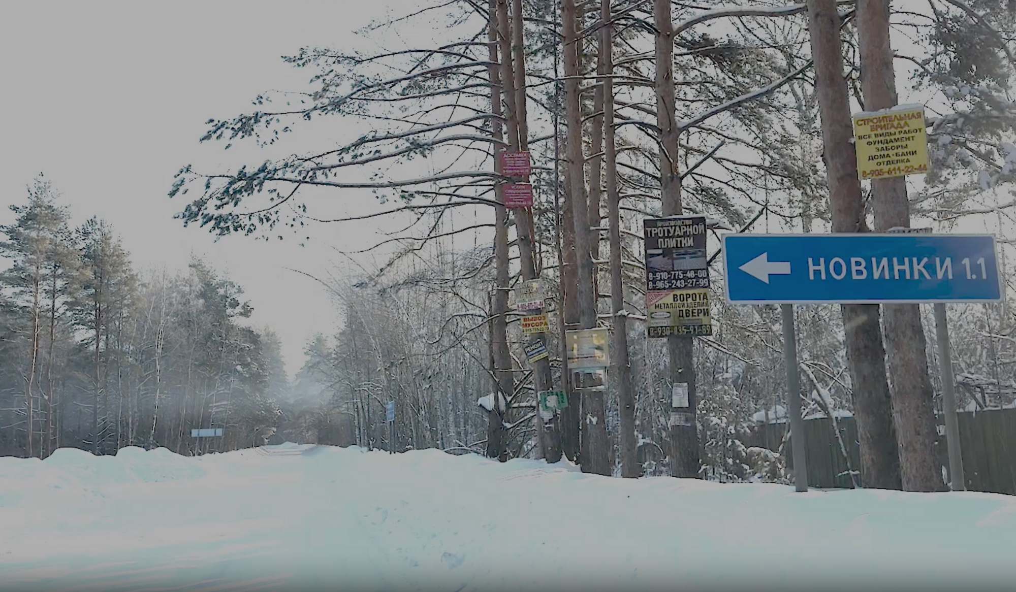 Новинки Петушинского района.