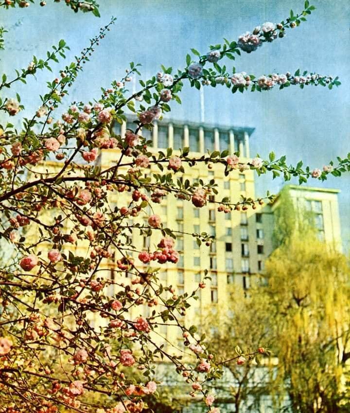 У мережі показали весну в Києві у 1978 році очима відомого українського фотографа. Старі знімки