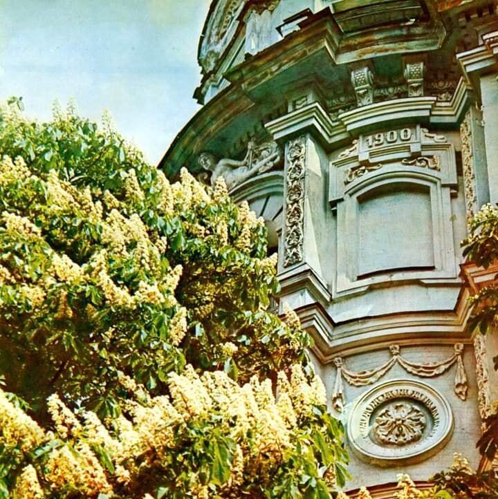У мережі показали весну в Києві у 1978 році очима відомого українського фотографа. Старі знімки