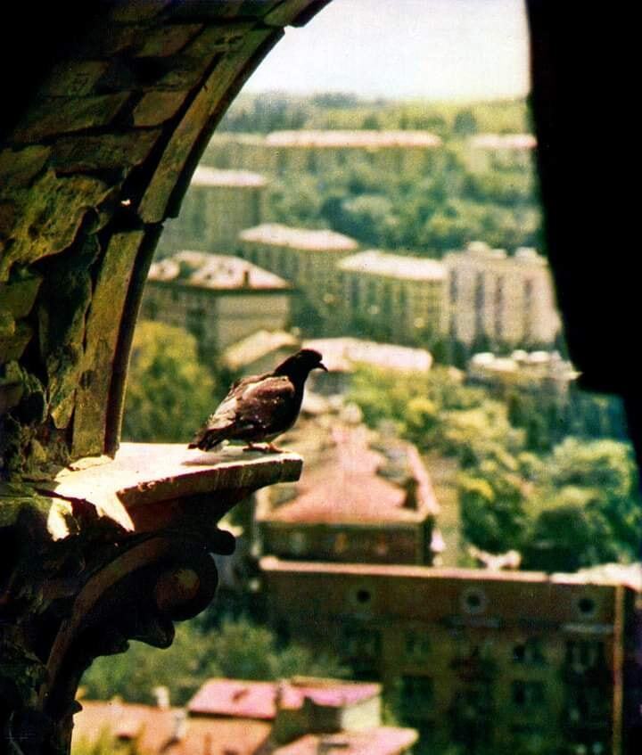 У мережі показали весну в Києві у 1978 році очима відомого українського фотографа. Старі знімки