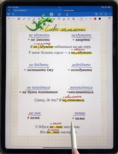 Что такое слова-хамелеоны: готовимся к НМТ по украинскому языку