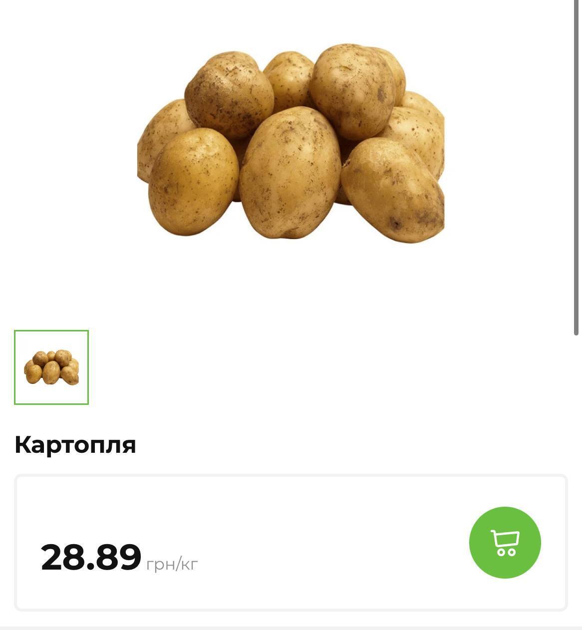 Картопля в Україні стрімко дешевшає
