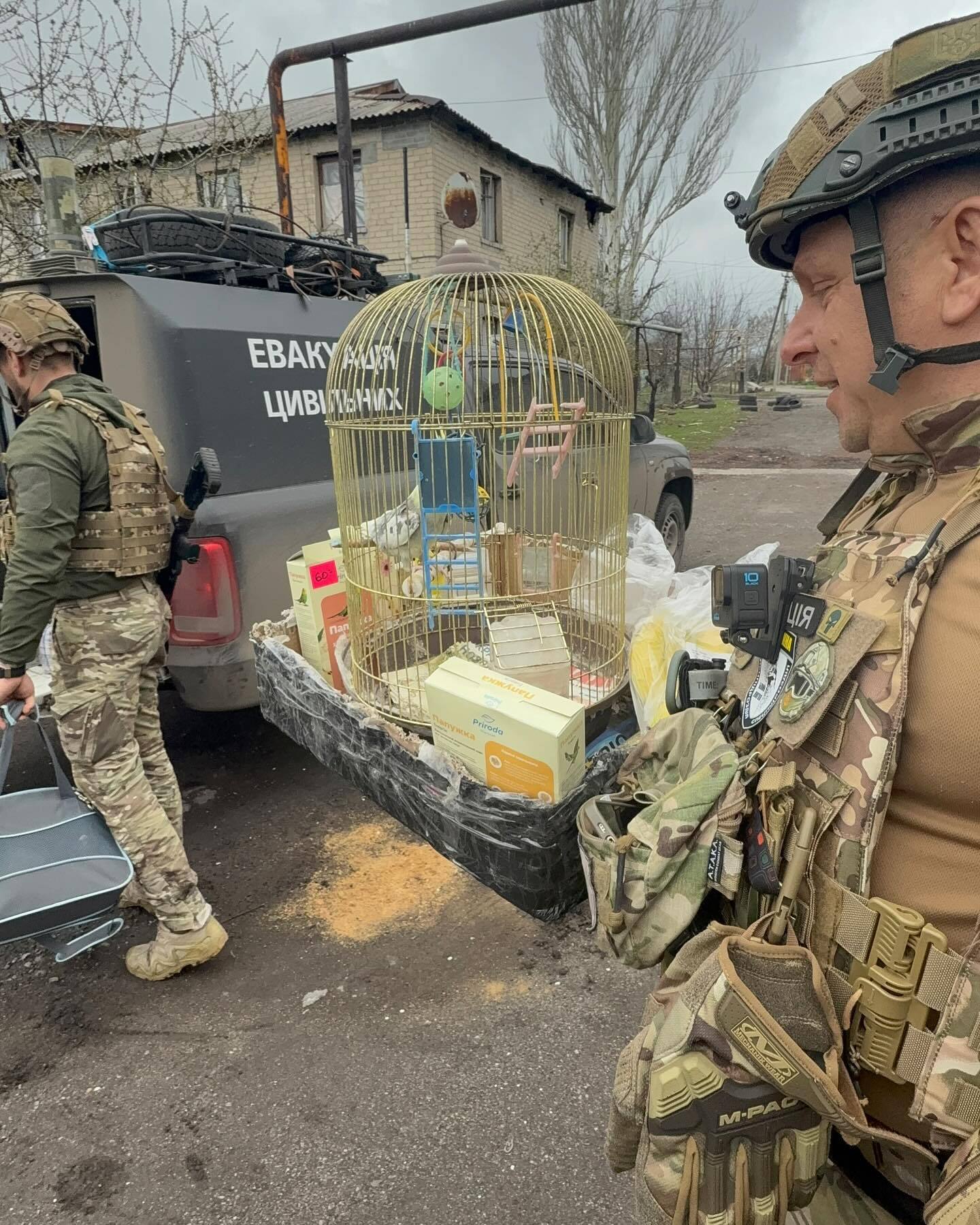 Изуродованные дома и могилы во дворах: сеть поразили свежие фото из Покровска