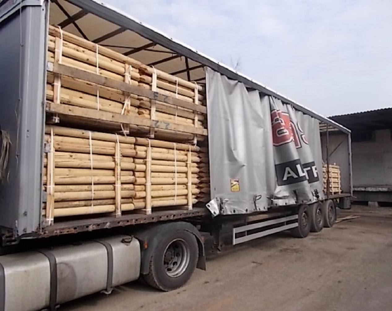 Як діяла схема з викрадання деревини