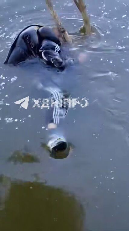 В Днепре подростки снимали на видео тонущего мужчину, но не оказали помощь: он погиб