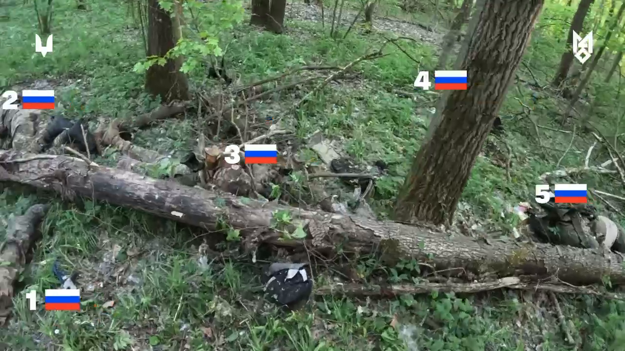Ефект несподіванки: ССО знищили штурмову групу окупантів у тилу ворога. Відео