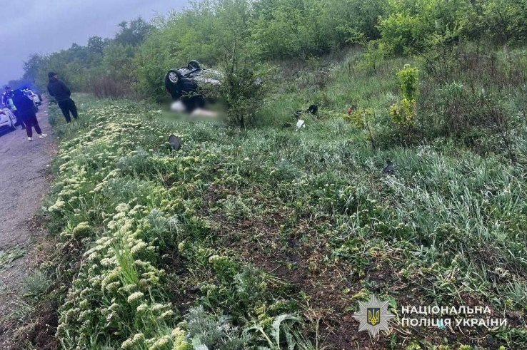 На Дніпропетровщині авто військового вилетіло в кювет: загинула його дружина, постраждало троє дітей, серед них – 5-місячне немовля