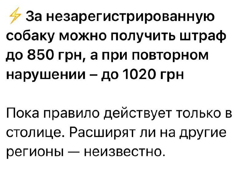 У Києві стартувала обов’язкова реєстрація собак