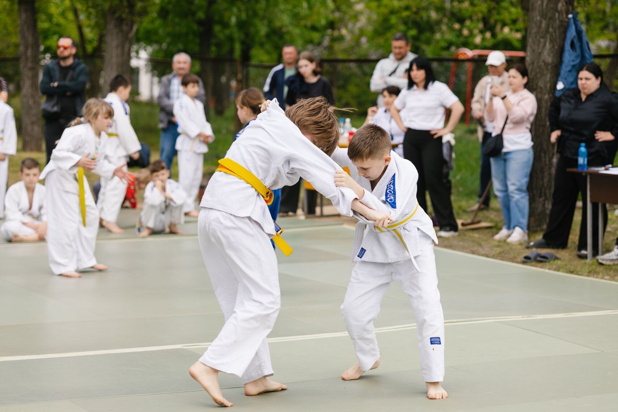Favbet Foundation підтримав молодь на змаганнях з боксу та дзюдо у Києві