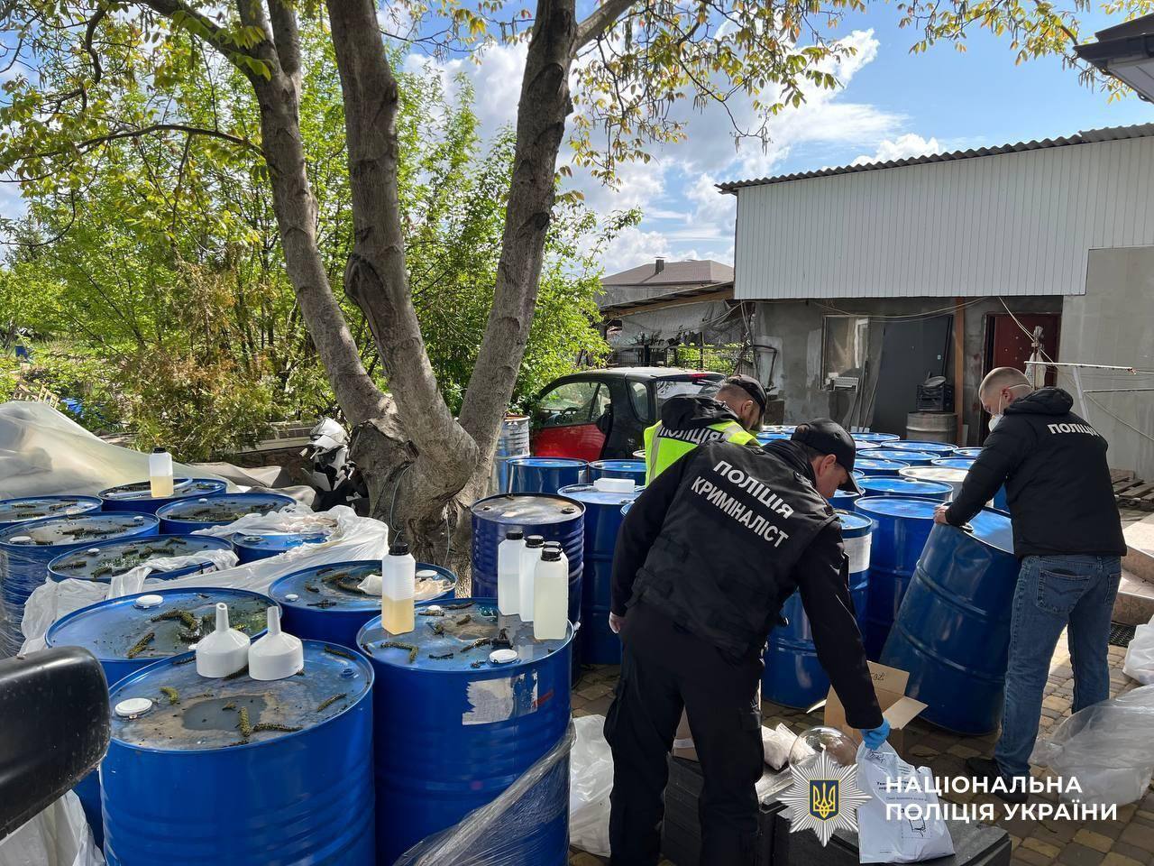 Обезвредили 7 группировок в разных регионах: стали известны подробности крупнейшей спецоперации по ликвидации наркобизнеса в Украине. Фото и видео
