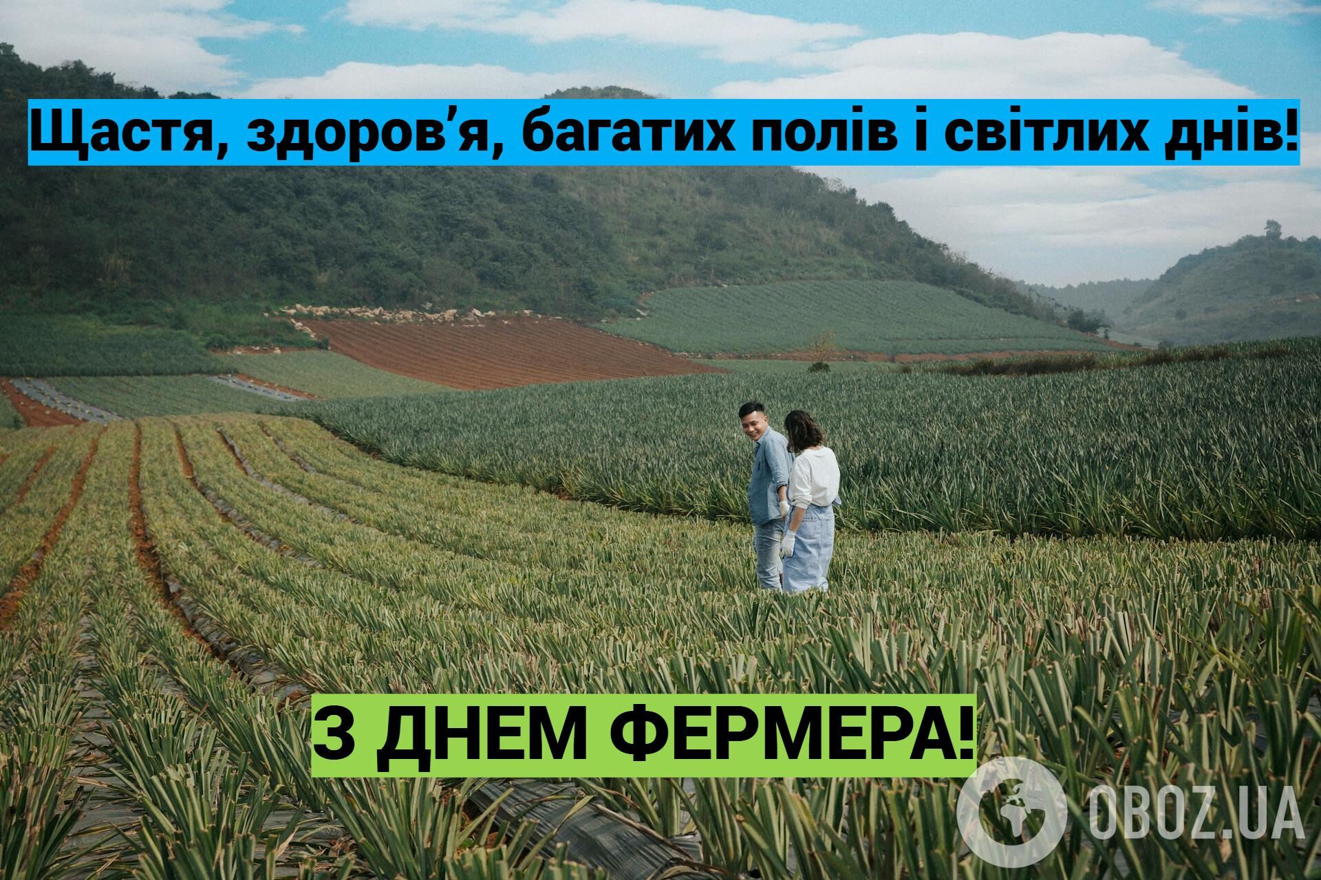 Коли в Україні святкують День фермера: дата у 2025 році