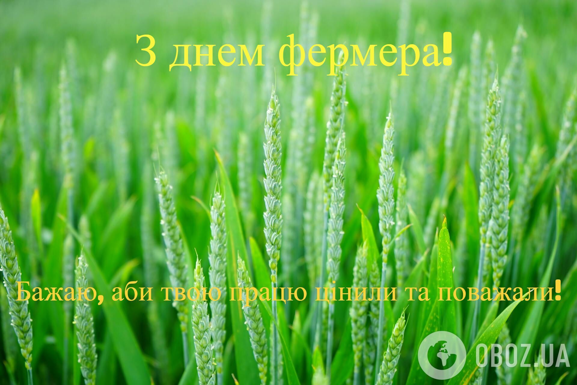 Коли в Україні святкують День фермера: дата у 2025 році