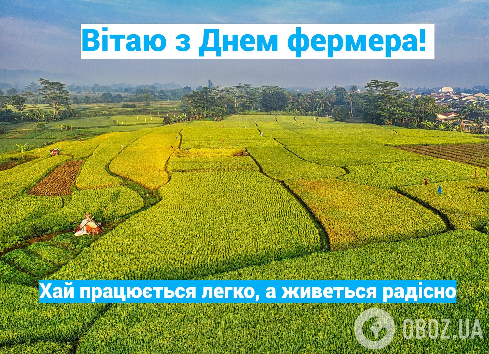 Коли в Україні святкують День фермера: дата у 2025 році