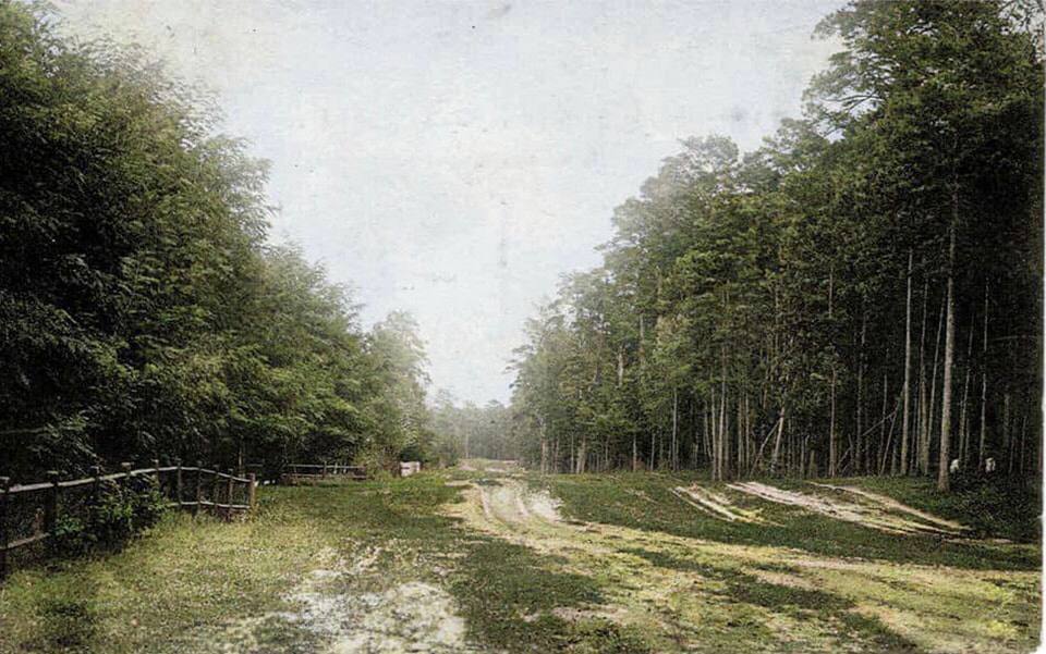 Узнать невозможно: как выглядела Дарница в Киеве в начале 1900-х годов. Уникальные фото