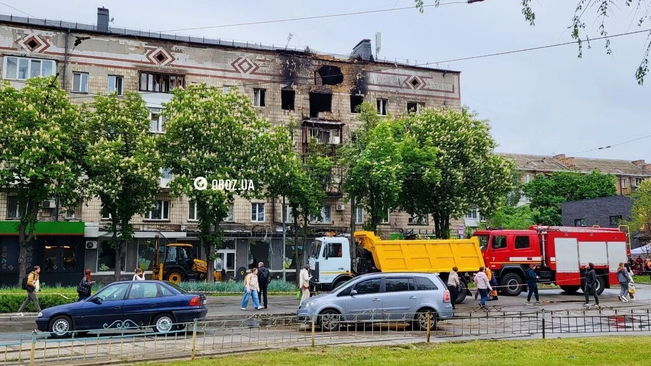 В Киеве умерла кошка Аля, которая выжила после атаки "Шахеда" 7 мая. Фото