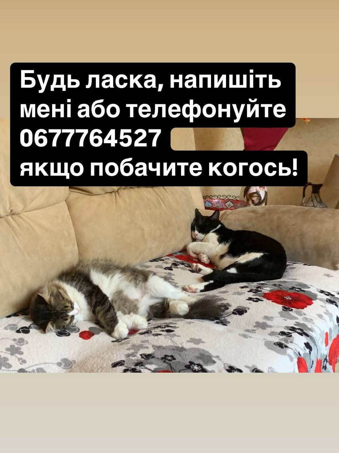 Ігор Біляков – у будинок директора Одеського зоопарку влучив російський дрон