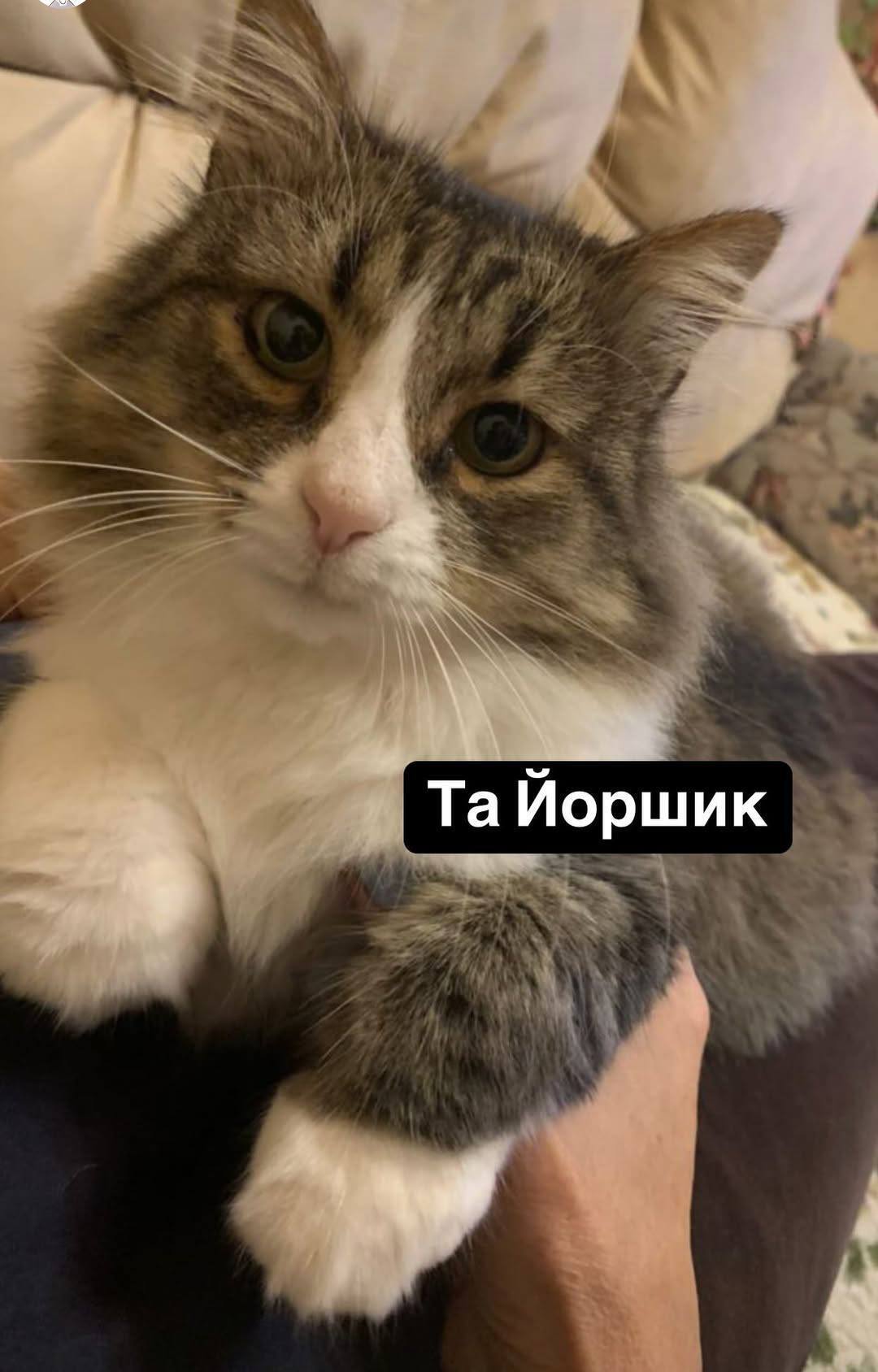 Ігор Біляков – у будинок директора Одеського зоопарку влучив російський дрон