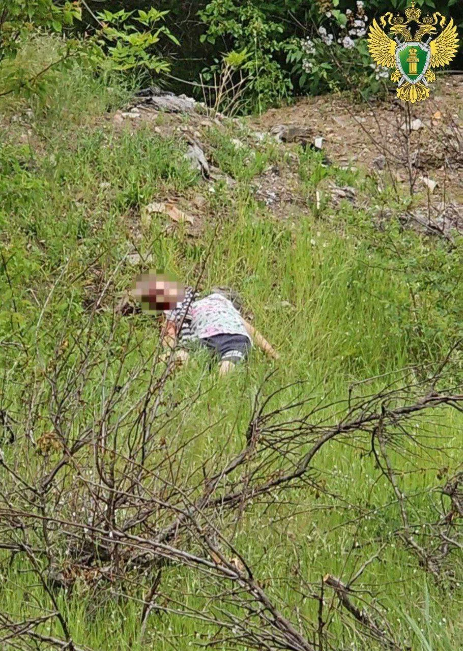 В оккупированном Бердянске убили 7-летнюю девочку: в преступлении обвиняют школьницу, но есть "нюанс". Фото