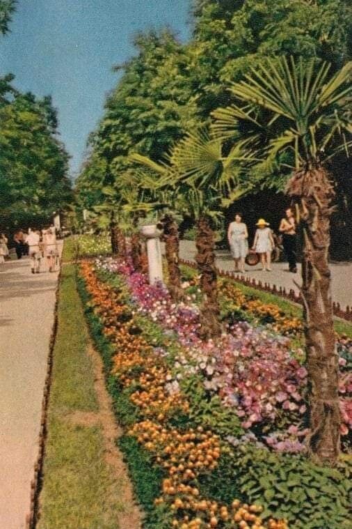 Старая Одесса: в сети показали атмосферные фото