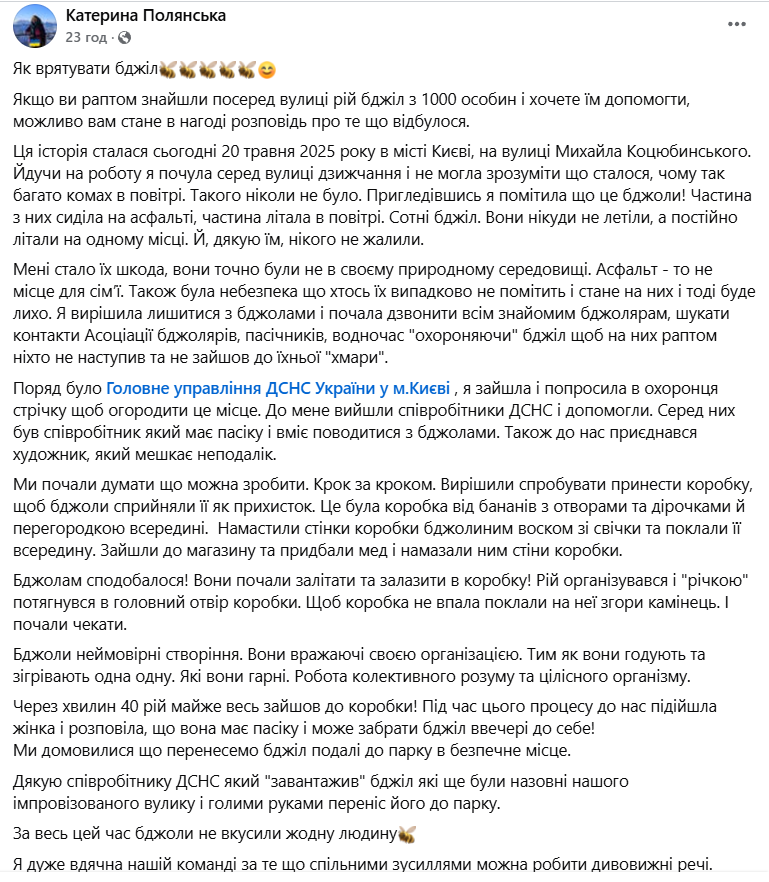 У центрі Києва перехожі та співробітники ДСНС врятували рій бджіл. Подробиці, фото та відео
