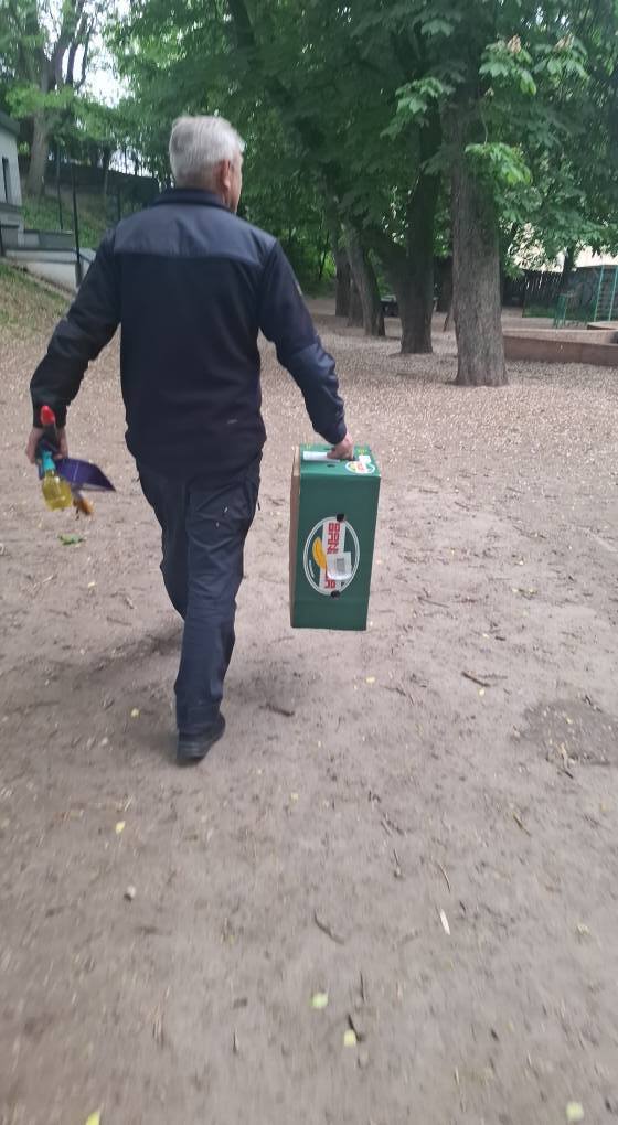 У центрі Києва перехожі та співробітники ДСНС врятували рій бджіл. Подробиці, фото та відео