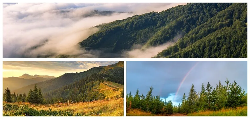Клімат Карпат