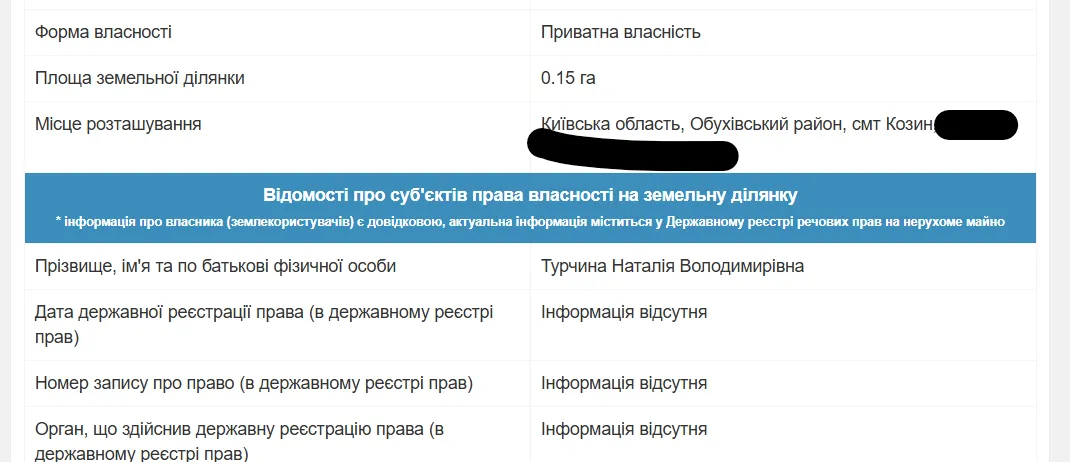 Наталья Турчин, дом, право собственности, Козин