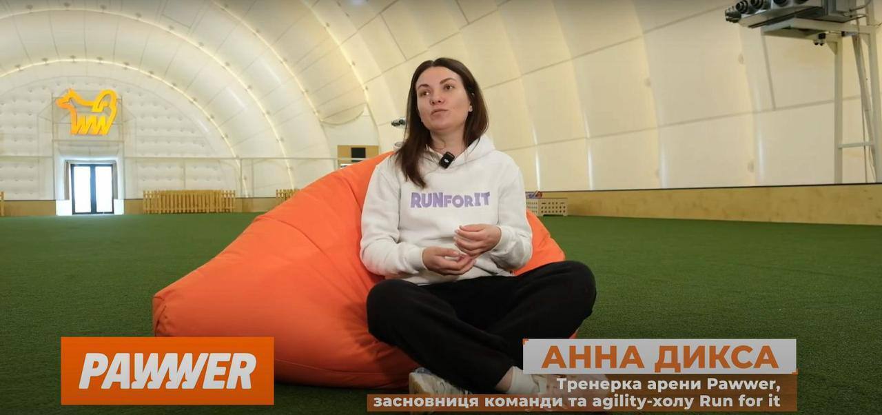 Заняття з аджиліті для собак у Києві: які є активності на спортивній арені Pawwer