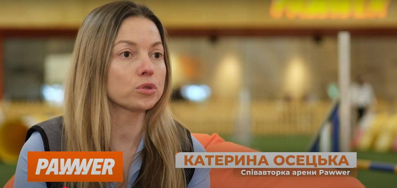 Заняття з аджиліті для собак у Києві: які є активності на спортивній арені Pawwer