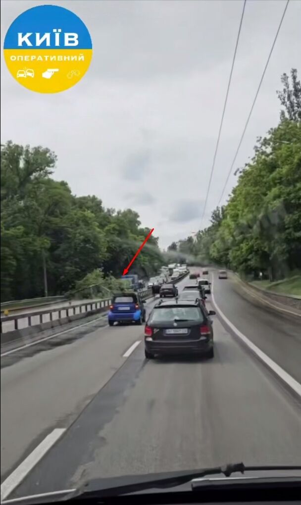 У Києві на вулиці Теліги на дорогу впало дерево: утворився затор. Подробиці та відео