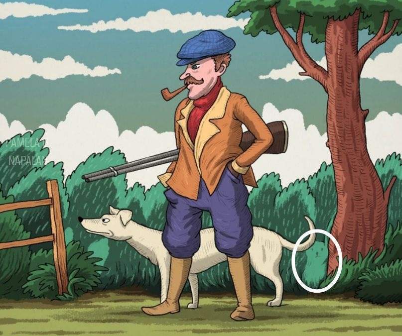 Де заховався кролик? Головоломка на уважність